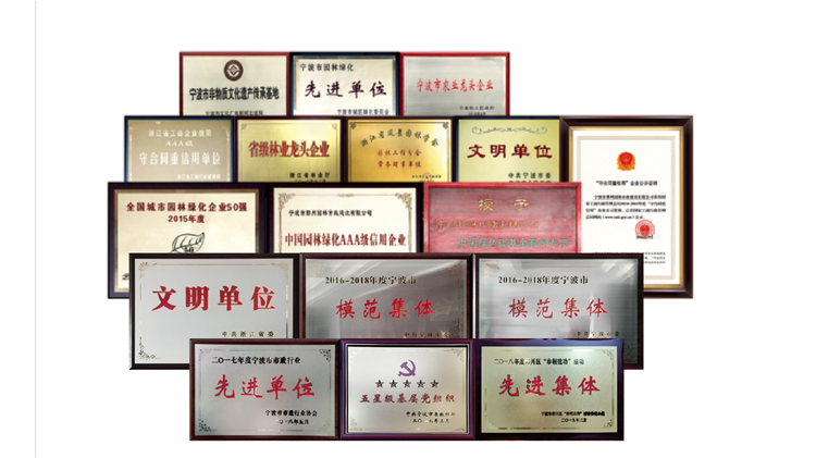 企業(yè)榮譽 企業(yè)榮譽